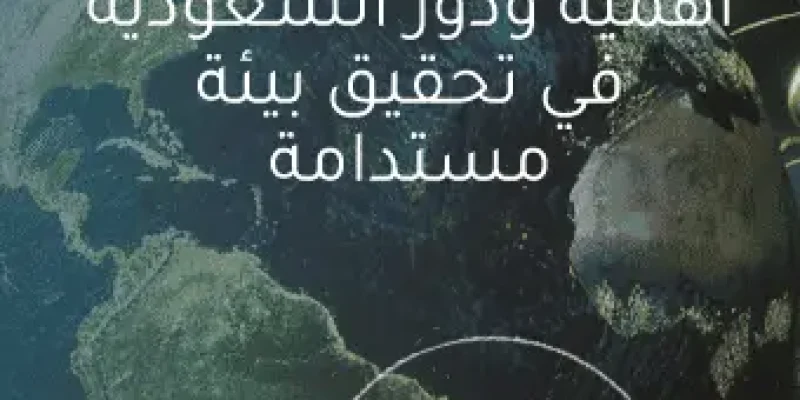 الاستدامة البيئية